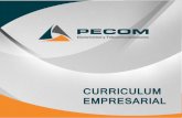 pecomsa.compecomsa.com/.../uploads/2015/07/curriculum-enero-2015.docx · Web viewSuministro e instalación de estructura Power-Rail P8 para montaje de paneles solares en la Universidad