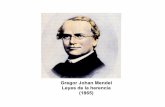 Gregor Johan Mendel Leyes de la herencia (1865) las cuales llamó alelos. Fenotipo parental F 1 F 2 Relación F 2 1. Semilla lisa x rugosa 2. Semilla amarilla x verde 3. Pétalos púrpuras