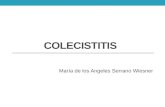 Colecistitis aguda · PPT file · Web view2015-11-29 · En la colecistitis acalculosa el cuadro puede ser insidioso y depender de las condiciones predisponentes. El cólicobiliariniciasúbitamente,