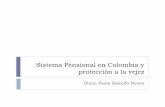 Sistema Pensional en Colombia y protección a la vejez por ejemplo, los empleados de la empresa de Petróleos –Ecopetrol- no cotizaban al sistema. ... En Chile se reconoce a las