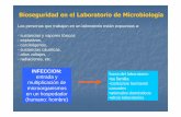 Bioseguridad en el Laboratorio de Microbiología grado de patogenicidad que es capaz de producir un determinado microorganismo patógeno Infectividad: Es la capacidad que tiene un