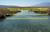 Presentación de PowerPoint - Desert Fishes Council · distribucion de las especies nativas de peces del valle de cuatro ciÉnegas, coahuila, mÉxico ma. de lourdes lozano-vilano
