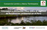 Conceptos y elementos clave sobre el régimen de ... · fiscalización ambiental en el Perú, así como así como las disposiciones generales que deben cumplir de ... Presentación