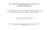 BLANQUEAMIENTO DENTAL Y ESTÉTICA BUCO-FACIALsemcc.com/master/files/Blanqueamiento dental - Dras. Gironella y... · Tinciones intrínsecas generales ... de las técnicas empleadas