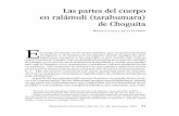 Las partes del cuerpo en ralámuli (tarahumara) de Choguita · Figura 8. Ítems léxicos de las partes internas de la boca y fosas nasales. L AS PARTES DE L CUERPO EN RA L ÁMU L