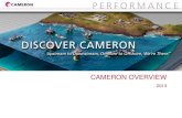 CAMERON OVERVIEW - energydelphos.com · VALVE GROVE ® ORBIT® RING-O® TBV ... FL & FLS Gate Valves 1-13/16” to 7-1/16” 5K, 10K & 15K PSI Type M Gate Valves ... CAMERON ® ENTECH™