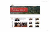 Cuenta Pública 2013 CTA PuBLICA.pdf · 2014-05-02 · 01/05/2014 20 Cultura • M$ 71.608 para financiar ... elementos de sustentabilidad en el proceso”. ... •204 solicitudes