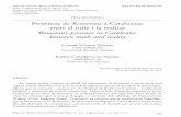 Presència de Rousseau a Catalunya: entre el mite i la ... · PDF fileits relation with stoic philosophy and dependence on ... naturalism and pragmatism. The ... Catalonia, stoicism,