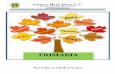 PRIMARIA - IMT SCHOOLinstitutomariateresa.com/img modificaciones/pdf carpetas/PRIMARIA... · que enseñar, es alcanzar los objetivos, ... y esto puede propiciar que el respeto y amistad