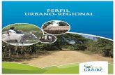 PERFIL URBANO-REGIONAL - ocaribe.org · ... y por lo tanto en la activación de los capitales ... 2012 en el Caribe colombiano ninguno de los 8 departamentos ... Tabla 2. Inversiones
