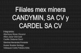 Filiales mex minera CANDYMIN, SA CV y - …depa.fquim.unam.mx/amyd/archivero/FilialesCandymin_34328.pdf · El carbón activado empacado en las columnas se expandirá al entrar en