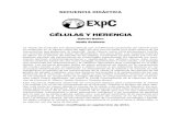 CÉLULAS Y HERENCIA - expedicionciencia.org.arexpedicionciencia.org.ar/.../uploads/2015/04/Células-y-herencia.pdf · CÉLULAS Y HERENCIA Gabriel Gellon ... del núcleo celular y