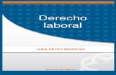 DERECHO LABORAL - upg.mx · 2 Índice 1. el derecho laboral. 1.1. antecedentes del derecho laboral 9-10 1.2. fuentes del derecho laboral 10-13 1.3. concepto de derecho laboral ...
