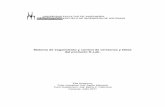Sistema de seguimiento y control de versiones y fallas del …mendillo.info/gestion/tesis/Azagoury.pdf · 2012-01-16 · seguimiento y control de versiones y fallas del producto K-Lab”,