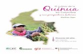 Taller sobre el cultivo de la quinua en Colombia y sus ...ciat-library.ciat.cgiar.org/articulos_ciat/biblioteca/...Taller “El cultivo de la quinua en Colombia y sus perspectivas