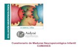 CUMANES - aidyne2.tizaypc.com Cumanes.pdf · CUMANES Cuestionario de Madurez Neuropsicológica Escolar Permite elaborar un perfil para conocer el desarrollo neuropsicológico y se