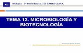 TEMA 12. MICROBIOLOGÍA Y BIOTECNOLOGÍA · 2016-05-11 · Flagelados: P Con flagelos . PAPEL DE LOS MICROORGANISMOS EN LA BIOSFERA! LOS MICROORGANISMOS Y LOS CICLOS DE LA MATERIA.