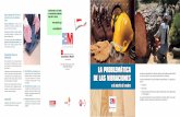 LA PROBLEMÁTICA DE LAS VIBRACIONES - madrid.org · D.L.: M- 49527-2011 Imprime: B.O.C.M. Comunidad de Madrid LA PROBLEMÁTICA DE LAS VIBRACIONES en la industria de la madera Las