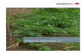 BOSQUE SANTIAGO, CL - geobrugg.com · Estabilización de taludes | Bosque Santiago, CL 4/6 La vegetación comenzó a cubrir toda la superficie del talud