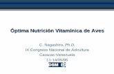 Óptima Nutrición Vitamínica de Aves - Asociación Española de … · 2012-06-02 · Requerimientos de vitaminas üLas investigaciones de respaldo no consideran los varios factores