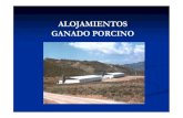 ALOJAMIENTOS GANADO PORCINO - Universidad de … · 2004-05-18 · GANADO PORCINO - Papel importante ... corrales para 10-30 lechones, calefacción y ventilación forzada b) Alojamientos