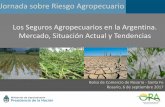 Los Seguros Agropecuarios en la Argentina. Mercado ... · indirecta: provocan una menor ... que esperar a la etapa de siembra. ... •Desventajas –Riesgo de base. Constituye una