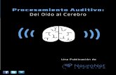 Procesamiento Auditivo - NeuroNet Learning · Una mala interpretación en cualquier nivel del ... presión negativa en el oído. cuando la comunicación se romPe un niño Puede ...