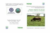 Consumo Voluntario de Forraje por Vacas Lecheras en …infolactea.com/wp-content/uploads/2017/01/folleto-cientifico-1... · Consumo Voluntario de Forraje ... digestibilidad provee