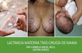 LACTANCIA MATERNA TRAS CIRUGÍA DE MAMA · lactancia materna tras cirugÍa de mama dra carmela baeza, ibclc. centro raÍces.