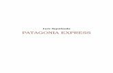 Luis Sepúlveda - Patagonia Expressapi.ning.com/files/P4fGPI1Ualx1C0Eotg4UNBh-uKP9hl17omLGjitBKwO… · intento de comprensión de do s temas capitales muy bien definidos por Julio