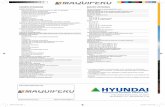 HYUNDAI - · PDF fileJuego de cañerías de acción simple (martillo hidráulico, etc.) Ventanas con vidrios de seguridad Juego de cañerías de acción doble (cuchara bivalva, etc.)
