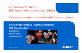 Optimización de la Eficiencia de los Activos (AEO) Cómo ... SKF.pdf · Cómo aumentar la rentabilidad de su planta ... con metodología y software SRCM. • Diseño de Programas