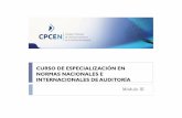 (Auditoría Neuquén Mod 3 Español enviar)cpcen.org.ar/v2/wp-content/uploads/2014/04/Auditoría-Neuquén-Mod... · financieros NIA 315, Identificación y análisis de los riesgos