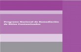 Programa Nacional de Remediación de Sitios Contaminadosbiblioteca.semarnat.gob.mx/janium/Documentos/Ciga/Libros2011/CD... · 4 3.2.1 Problemas identificados en materia de remediación