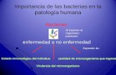 Importancia de los microorganismos en la patología humana · ... Klebsiella spp, Proteus spp, ... Es una enfermedad generada en muchos casos por falta de higiene que ... pequeños