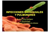 INFECCIONES BRONQUIALES Y PULMONARES - Blog de … · Hospital General Universitario de Alicante ... • cepillado bronquial ... Muestra representativa de las secreciones bronquiales...