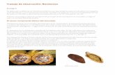 Trabajo de observación: Bombones - Casiopeawiki.ead.pucv.cl/images/0/01/Laminas_encargo_investigacion2.pdf · giones de América se practica todavía la danza del cacao: los nativos