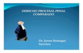 DERECHO PROCESAL PENAL COMPARADO - … · DERECHO PROCESAL PENAL ... Código Procesal Penal tipo para Latinoamérica. SISTEMA ACUSATORIO JUEZ (Juez de ...