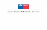 CARTERA DE SERVICIOS - hospitaldelosandes.cl · servicios requeridos por el Gestor de la Red Asistencial y que son capaces de producir en función de su capacidad instalada1.