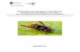 Protocolo Velutina Cantabria 2017 definitivo AVISPON ASIATIC… · consejerÍa de medio rural, pesca y alimentaciÓn protocolo de vigilancia y control del avispÓn asiÁtico (vespa