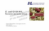 E. coli O104:H4. - mileon.files.wordpress.com · O157:H7 es el más frecuente (USA) entre los que provocan patología (30-50% de los casos). ... la subunidad A penetra en la célula