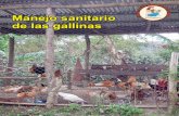 Manejo sanitario de las gallinas - repositorio.uca.edu.nirepositorio.uca.edu.ni/2235/1/manejo_sanitario_de_las_gallinas.pdf · Manejo sanitario de las gallinas ... implementar un