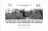 Contenido de Carbono en Bosques del Altiplano Occidental de proyectos... · Contenido de Carbono en Bosques del Altiplano Occidental iii Resumen Ejecutivo ... Ejecución de la medición