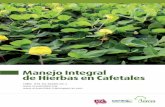 Manejo Integral de Hierbas en Cafetalesra-training-library.s3.amazonaws.com/manejo-integral-hierbas-utz... · sido base para la elaboración y promoción de principios básicos para
