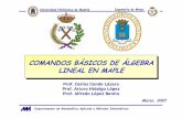 M2 ALGEBRA LINEAL EN MAPLE - Bienvenido al …ocw.upm.es/.../TEMA_1/Presentaciones/M2_ALGEBRA-LINEAL-EN-MA… · Departamento de Matemática Aplicada y Métodos Informáticos Universidad