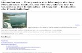 Honduras - Proyecto de Manejo de los Recursos Naturales ... · Recursos Naturales Renovables de la Cuenca del Embalse el Cajón - Estudio de Factibilidad Indice ... de 5 años para