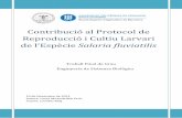 Contribució al Protocol de Reproducció i Cultiu Larvariupcommons.upc.edu/bitstream/handle/2099.1/24553/memoria.pdf · Resumen Las condiciones de vida en el río Ebro han sido perjudicadas