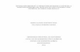 ESTUDIO PRELIMINAR DE LA PRODUCCIÓN DE BIOGÁS A PARTIR DE ...tangara.uis.edu.co/biblioweb/tesis/2012/145234.pdf · 2 estudio preliminar de la producciÓn de biogÁs a partir de