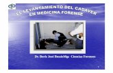 Dr. Boris José BossioMgs Ciencias Forensesftpmirror.your.org/.../commons/8/8c/LEVANTAMIENTO_DE_CADAVER… · Observación y Búsqueda de evidencias ... levantamiento del cadáver