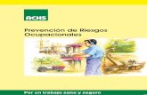 Prevención de Riesgos - ACHS · 3 1. Comprender la magnitud del problema de los accidentes del trabajo y enfermedades profesionales. 2. Comprender el significado del término “prevención